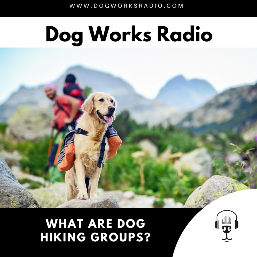 dog hiking groups dog works radio logo