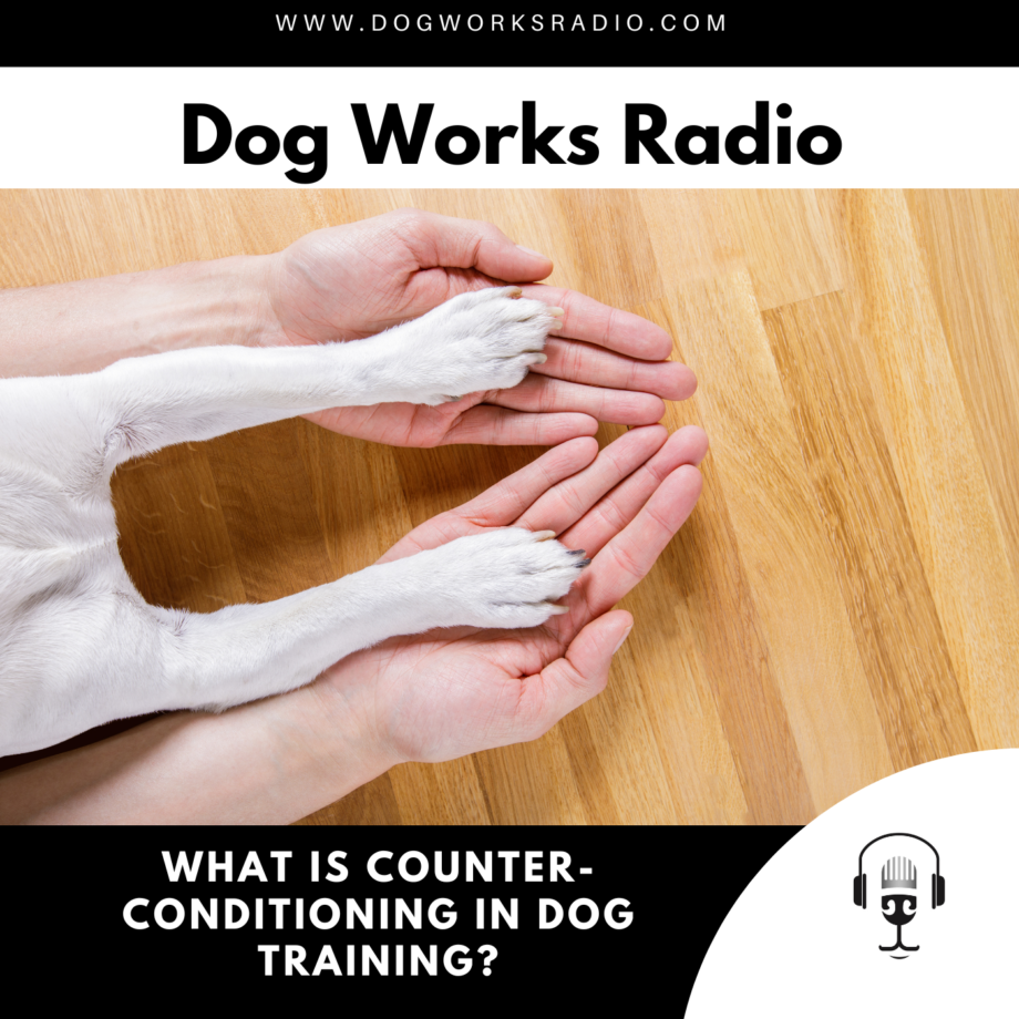 What is Counter Conditioning in Dog Training? Dog Works Radio