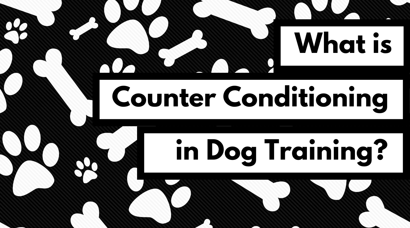 what is counter conditioning