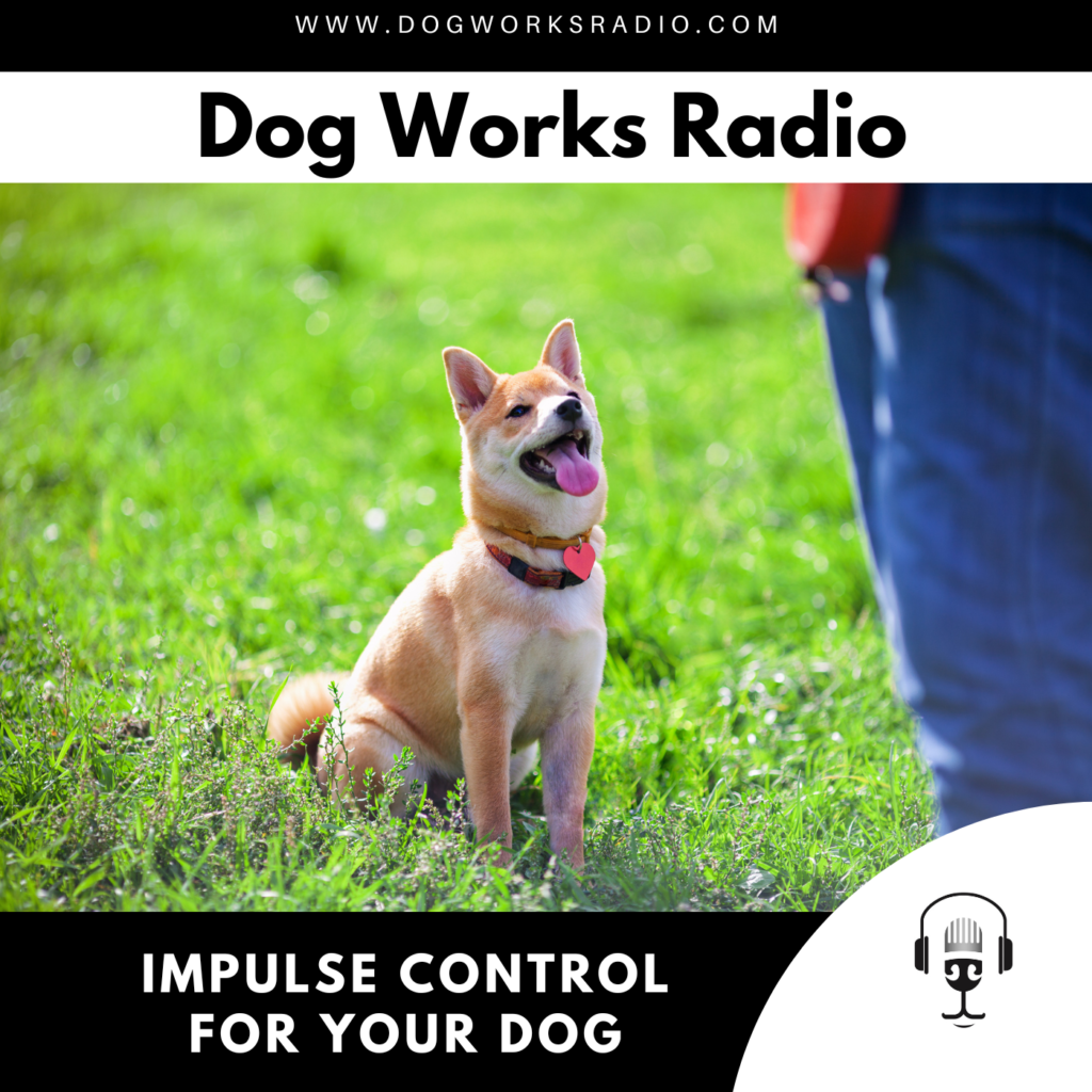 impulse control for your dog dog works radio