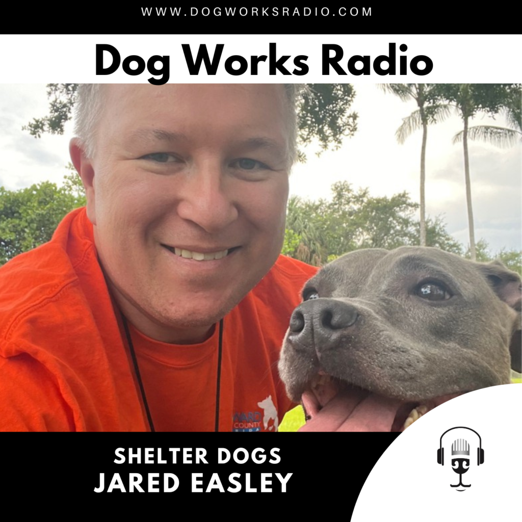 shelter dogs jared Easley
