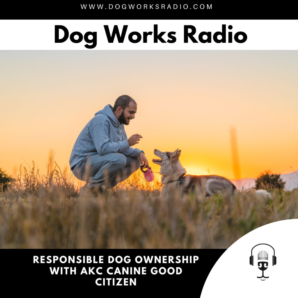 Responsible Dog Ownership with AKC Canine Good Citizen