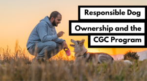 Responsible Dog Ownership with AKC Canine Good Citizen podcast