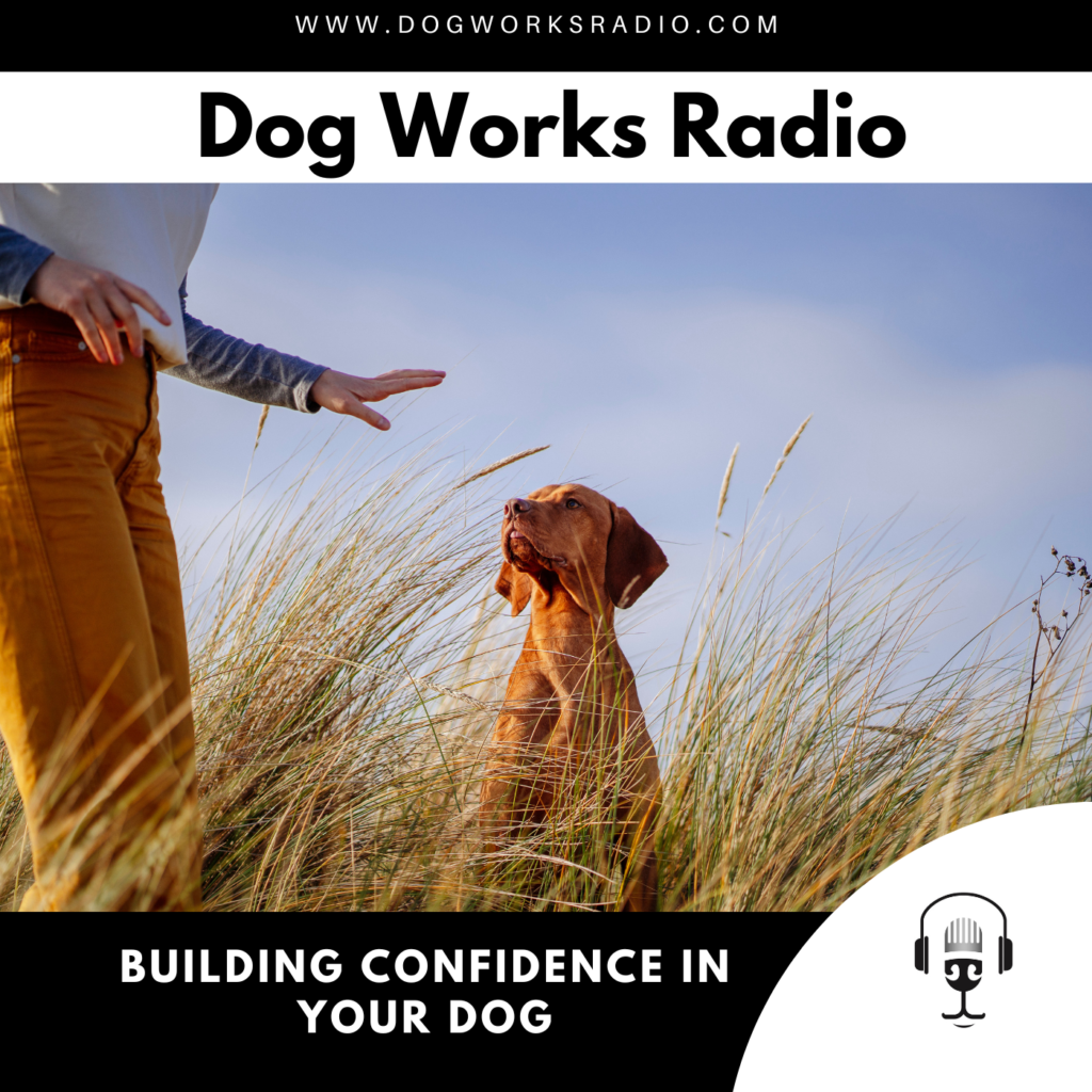 building confidence in your dog dog works radio