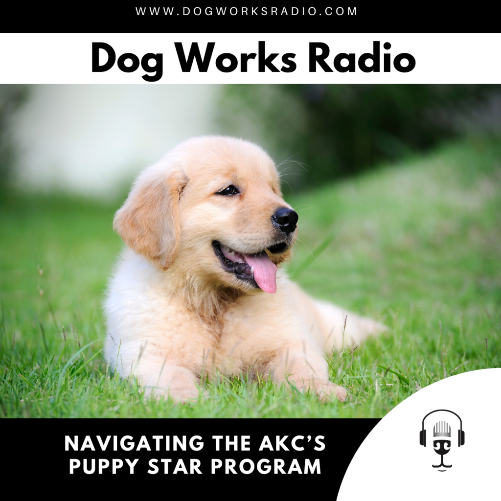navigating the puppy star program dog works radio podcast