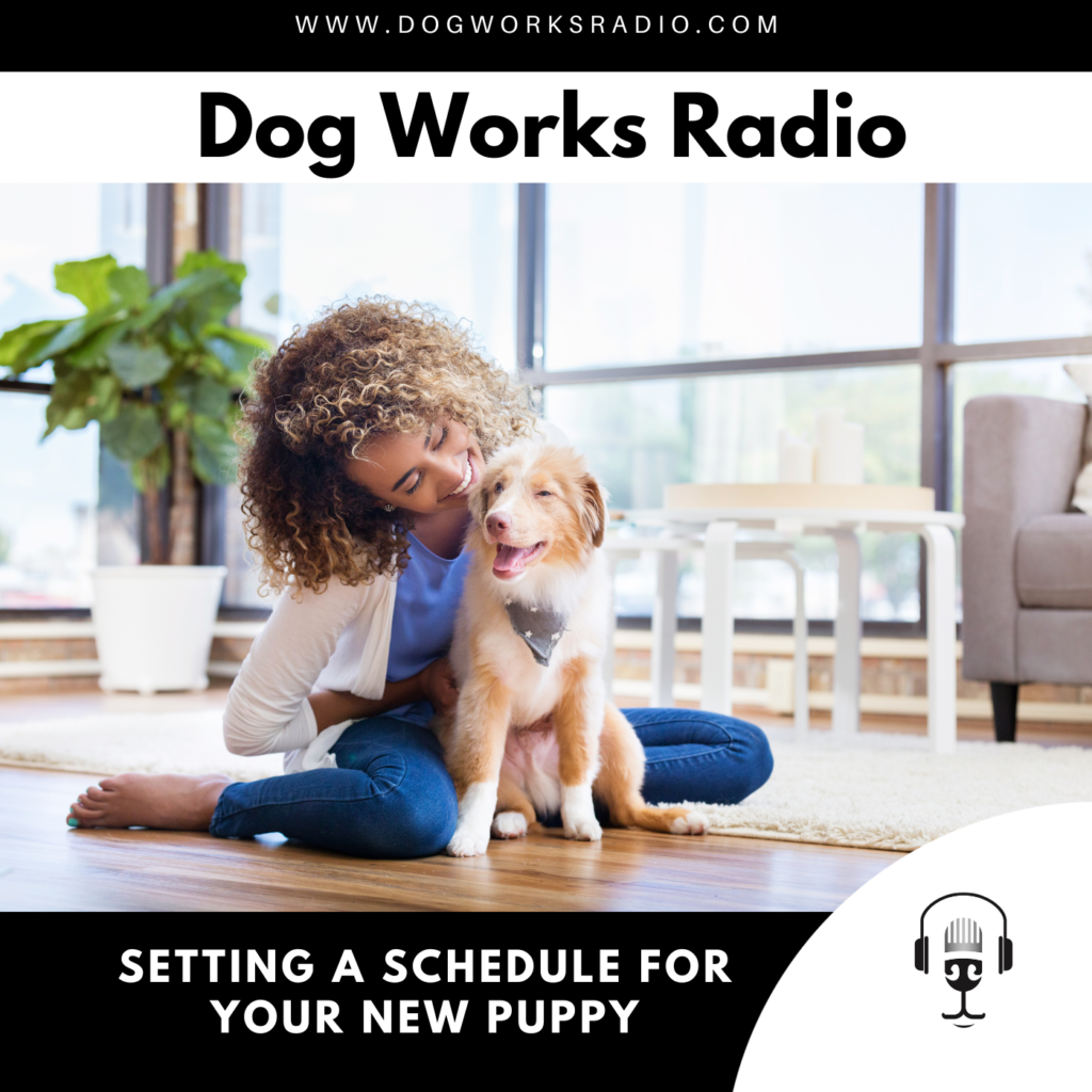 setting a schedule for your new puppy logo