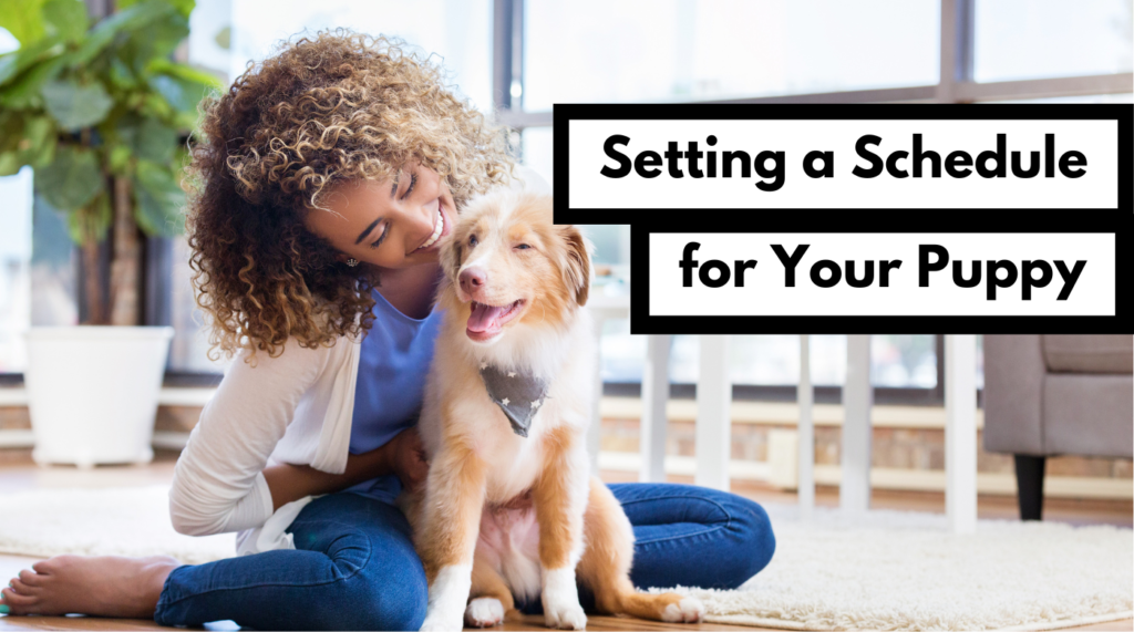 Setting a Schedule and Developing a Routine for Your New Puppy | Dog ...