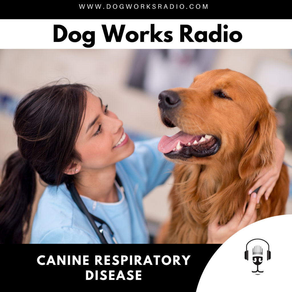 the latest canine respiratory disease