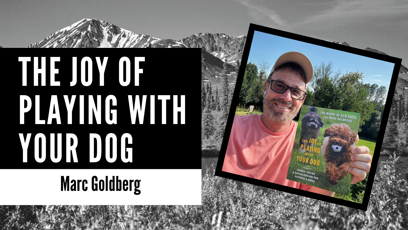 marc goldberg interview dog works radio