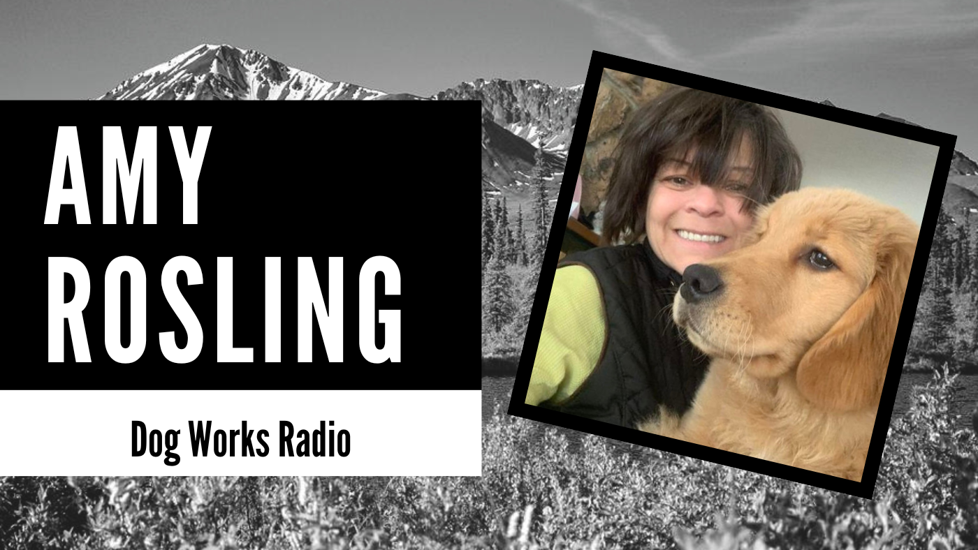 Pet Transport w/Amy Rosling | Dog Works Radio