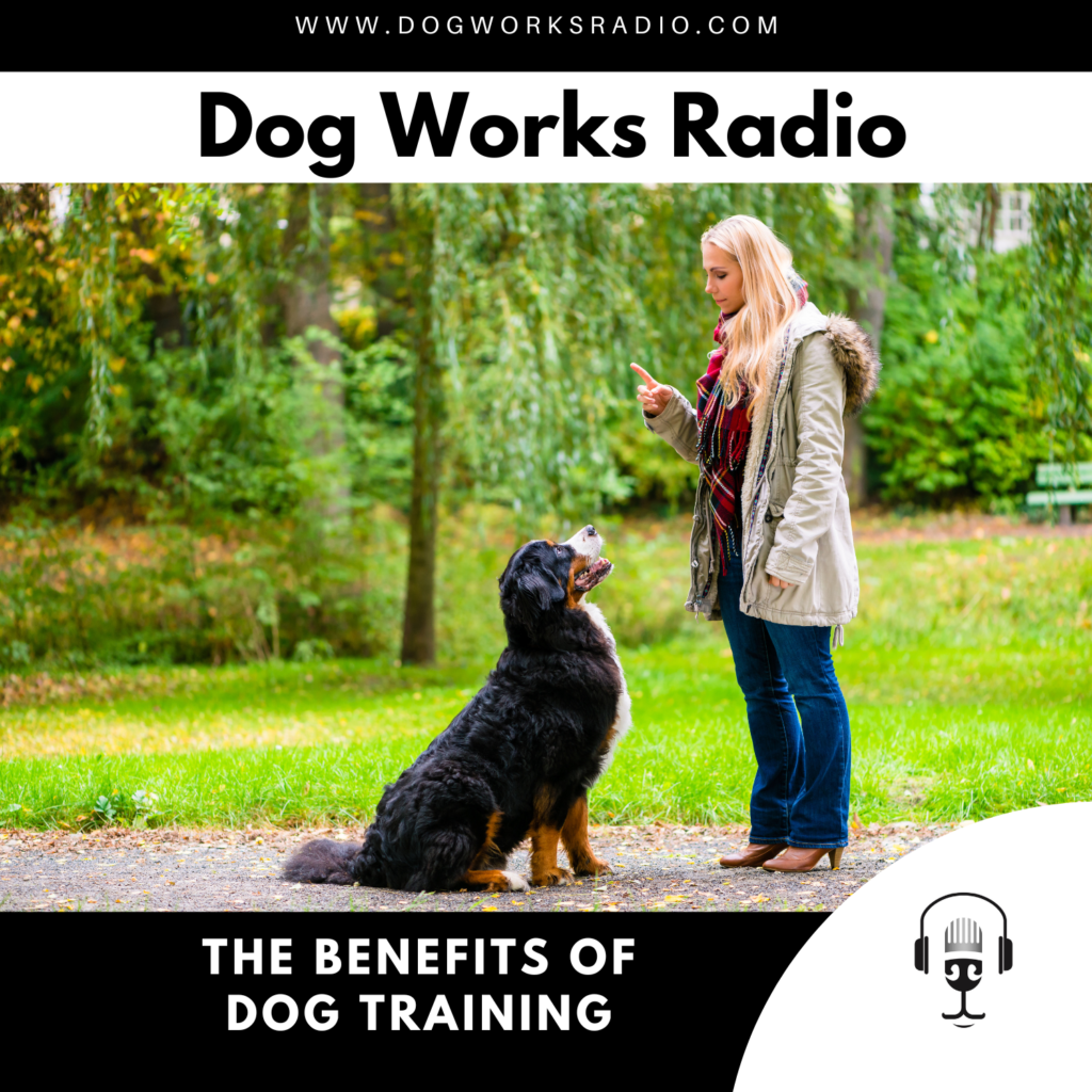 the benefits of professional dog training dog works radio