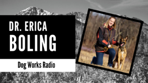 Dr Erica Boling dog works radio banner