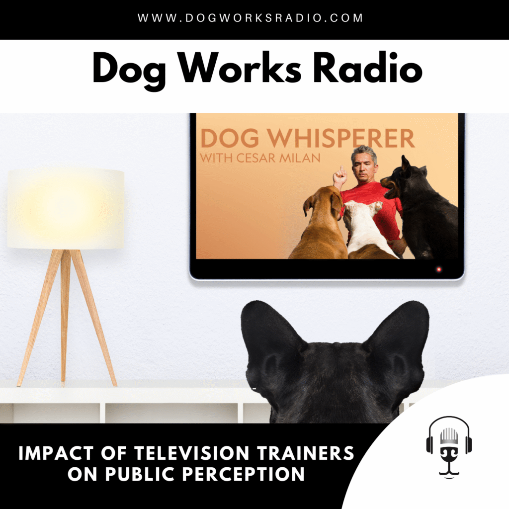 Impact of Television Trainers on Public Perception dog works radio