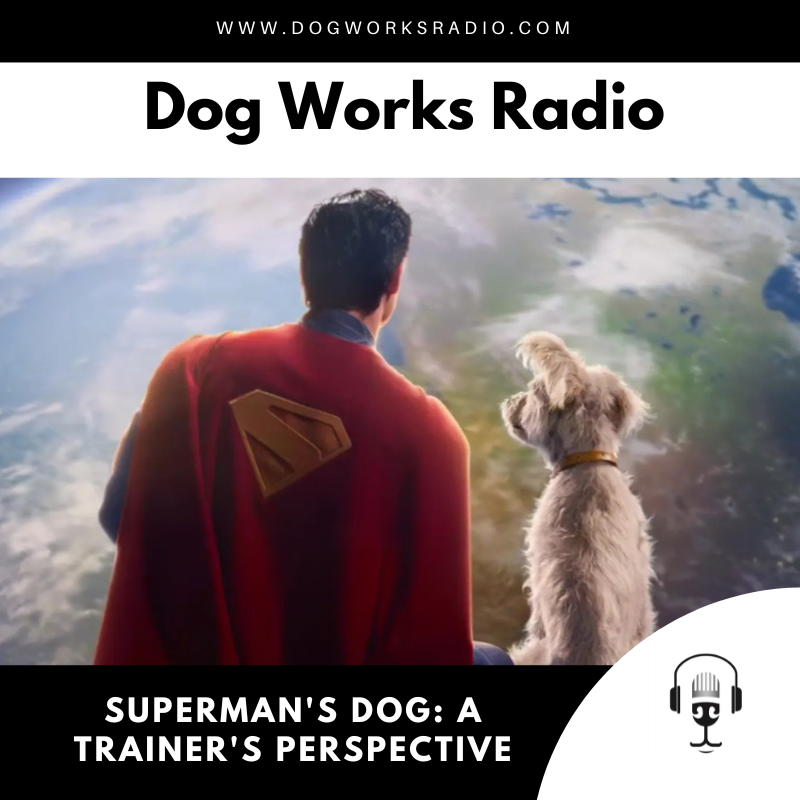 Superman's Dog A Trainer's Perspective podcast 1