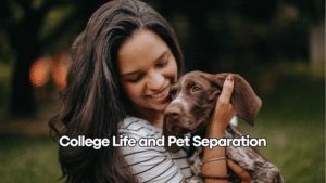 college life and pets dog works radio
