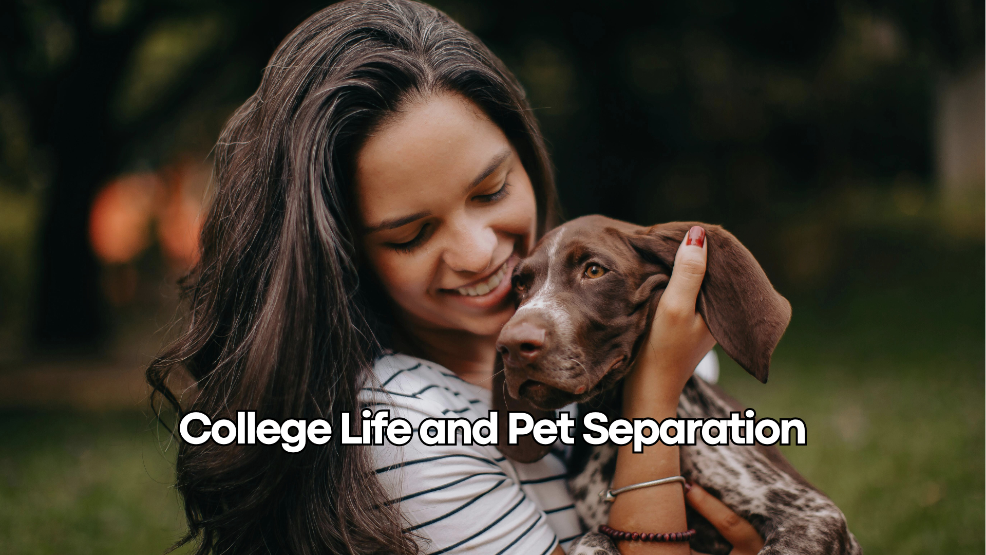 college life and pets dog works radio