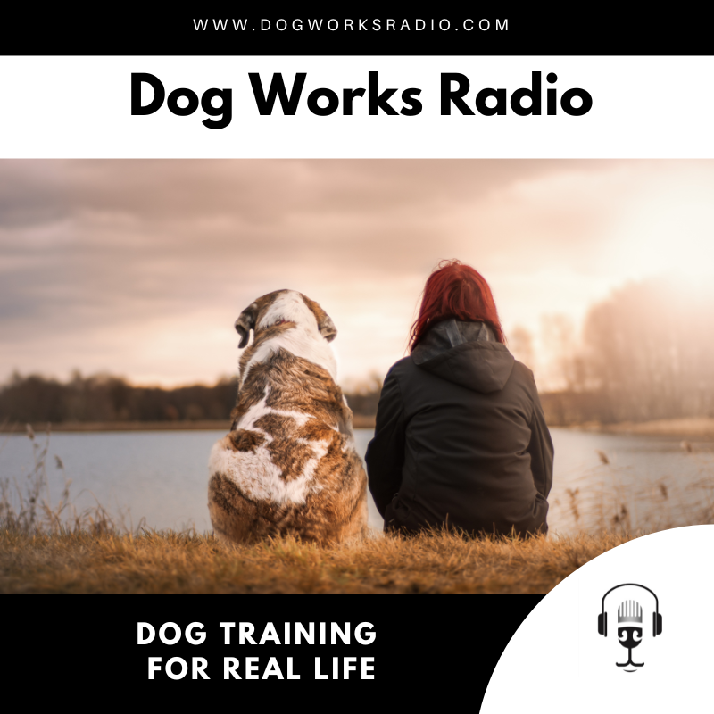 dog training for real life dog works radio podcast