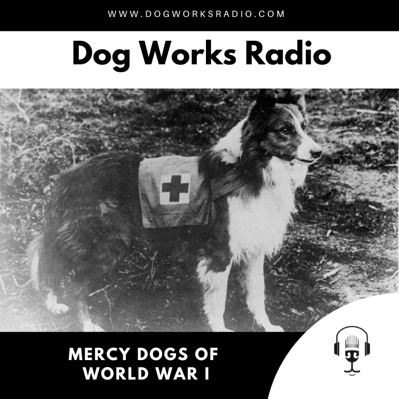 mercy dogs on dog works radio