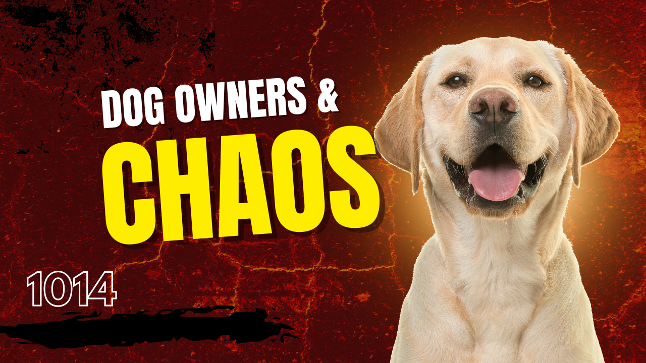 The Hard Truth: Your Dog Isn’t the Problem You Are