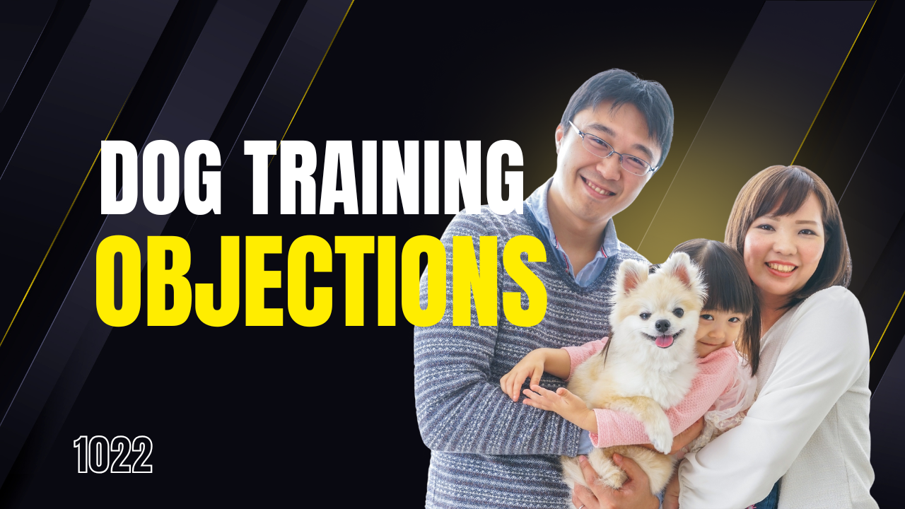 Dog Training Myths That Keep Families Stuck (and How to Break Free)
