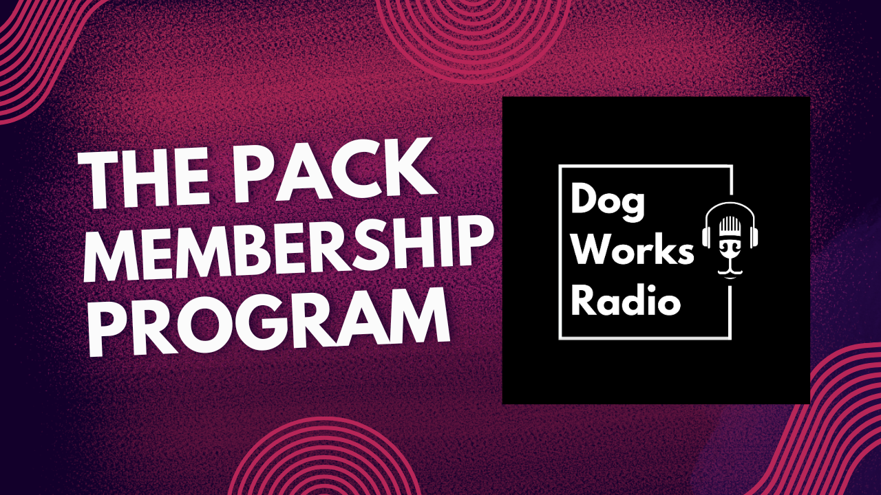 Behind the Scenes of The Pack™: Why We Built It and What You’ll Get