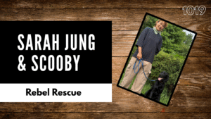 Rescued from the Dog Farm: Scooby’s Journey Toward a Forever Home in South Korea
