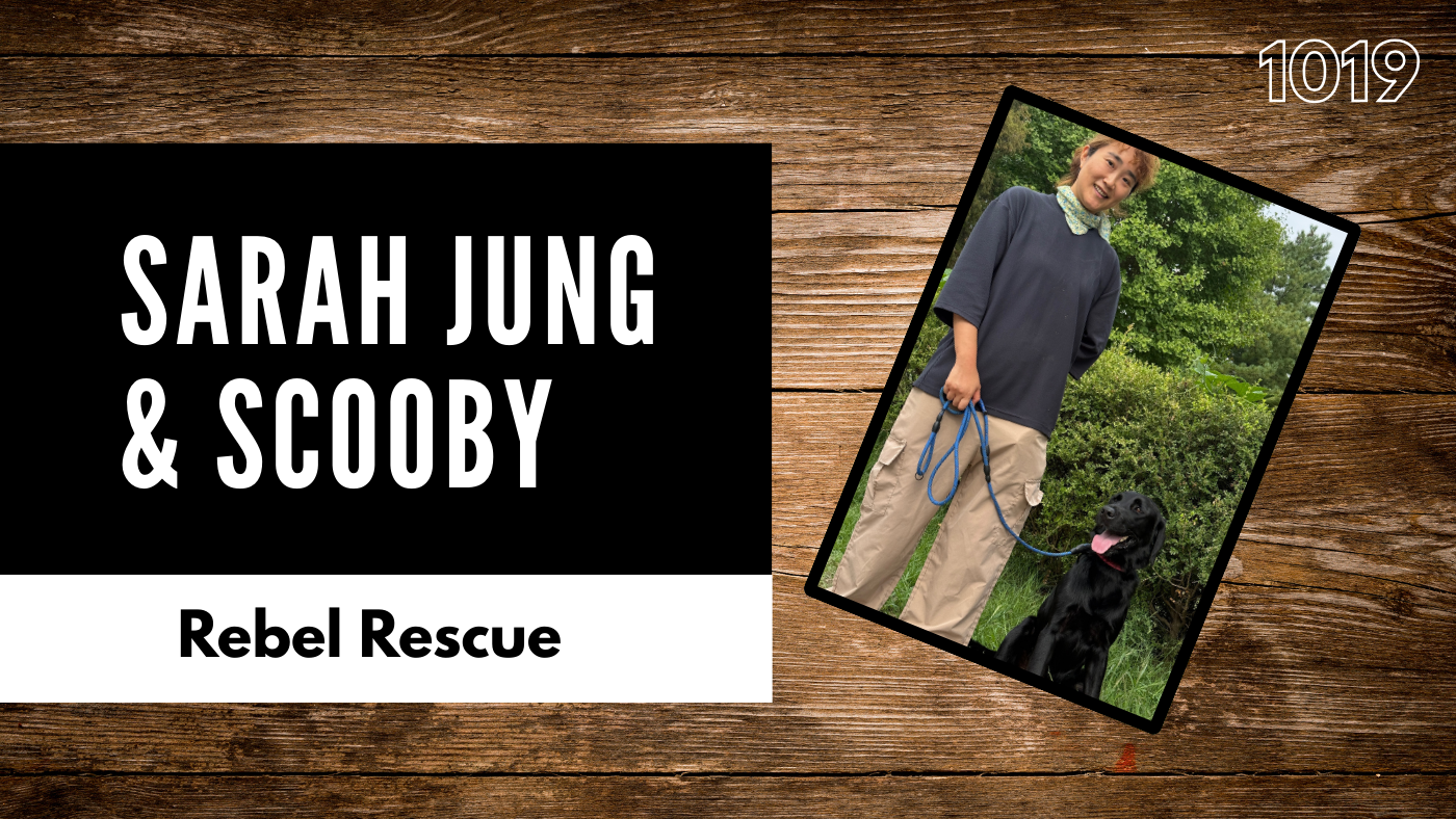 Rescued from the Dog Farm: Scooby’s Journey Toward a Forever Home in South Korea