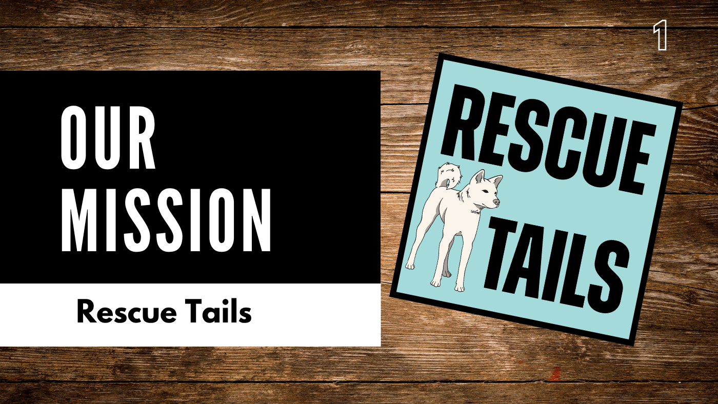 The Story of Rebel Rescue and Its Mission