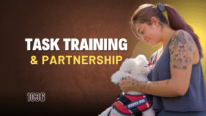 Why “Task Training” Is Only Half the Story