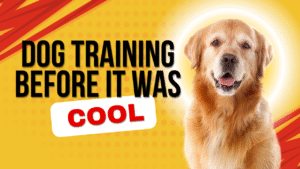 We Were Dog Trainers Before It Was Cool: What 30 Years in the Industry Has Taught Us
