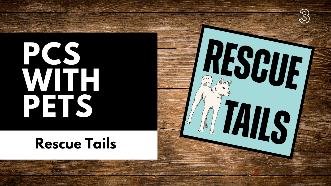 PCS with Pets: The Hidden Struggles of Military Families and Their Dogs