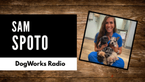Pet Insurance, Hurricanes and a Heartfelt Story that Led to a Podcast with Sam Spoto
