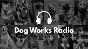 Listen to The Top 5 ‘DOG WORKS RADIO’ Podcast Episodes of 2025
