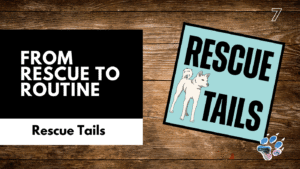 From Rescue to Routine: How Training Builds Lasting Bonds