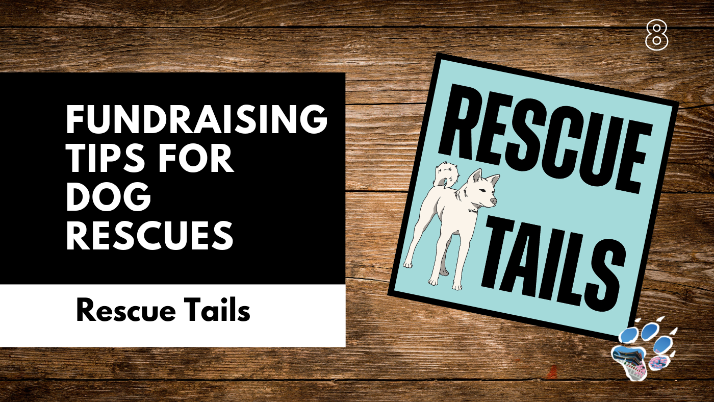 Fundraising That Actually Works: How Rescues Survive the Hard Seasons