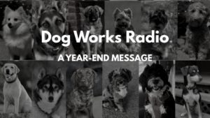 Refelcting on a Remarkable Year, and Your Meaningful Support