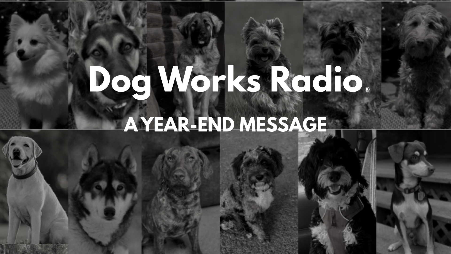 Refelcting on a Remarkable Year, and Your Meaningful Support