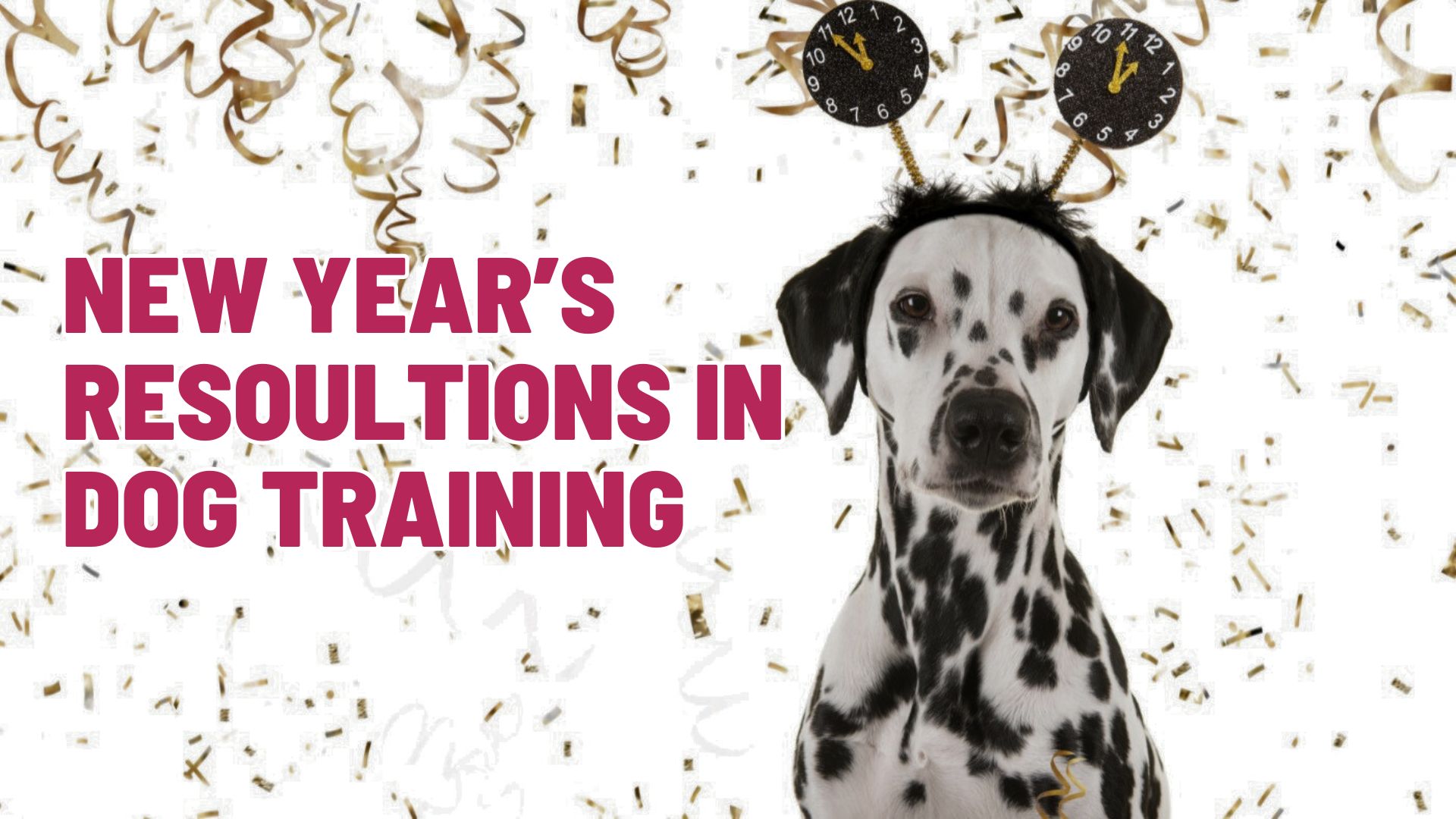 New Year’s Resolutions in Dog Training: 4 Commitments That Build Better Dogs