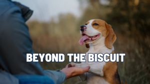 Positive Reinforcement 101: Beyond the Biscuit