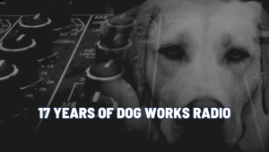 17 Years In: What Staying Power Really Looks Like | Dog Works Radio