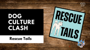 Dog Culture Clash: Big Dogs, Insurance Laws, and Life as a Rescue Dog in South Korea