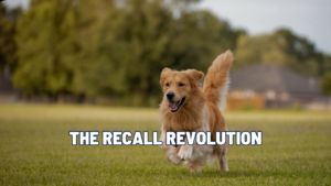 The Recall Revolution: 7 Rules for a Solid “Come”