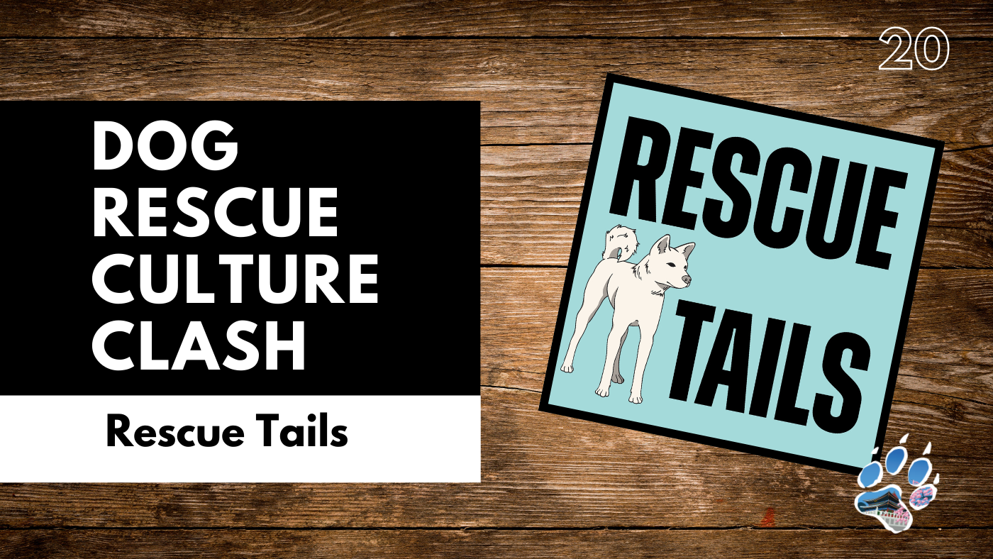 Rescue Culture Clash: How Korean and American Volunteers See Dogs Differently