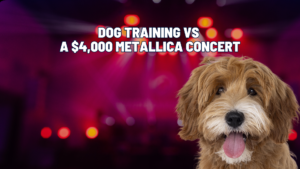 Dog Training vs. $4,000 Concert Tickets: Which Investment Matters More?