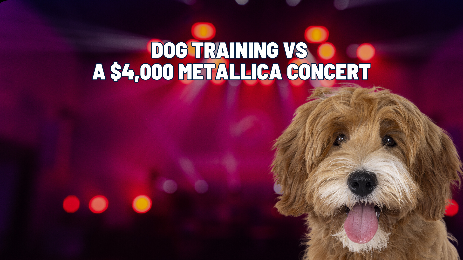 Dog Training vs. $4,000 Concert Tickets: Which Investment Matters More?