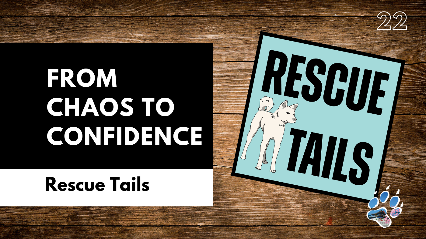 Building Trust With Your Rescue Dog: From Chaos to Confidence