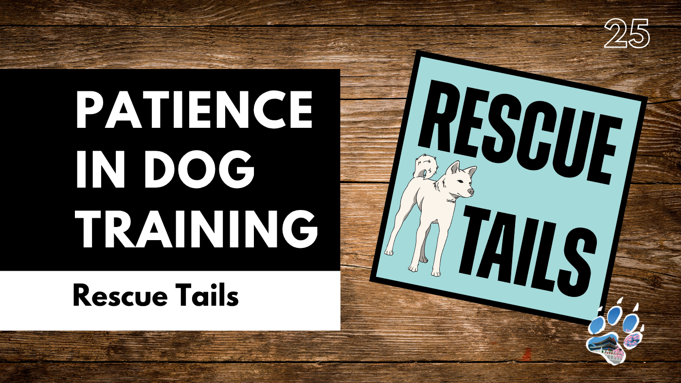 Why Rescue Dogs Test You (And How to Succeed Anyway)