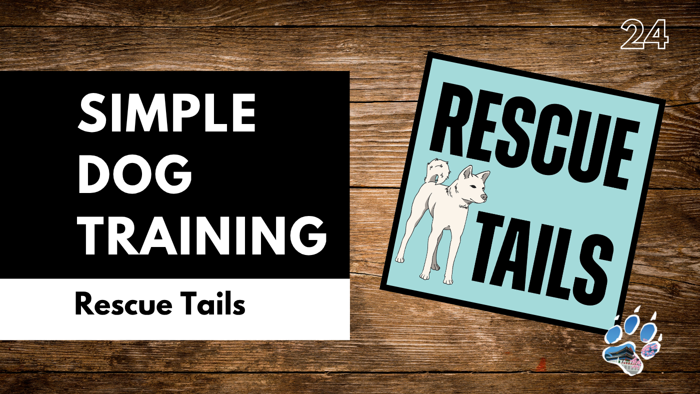 How to Build Confidence in a Rescue Dog (Simple Training That Works)