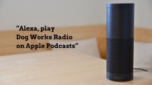 How to Listen to Dog Works Radio on Alexa Using Apple Podcasts