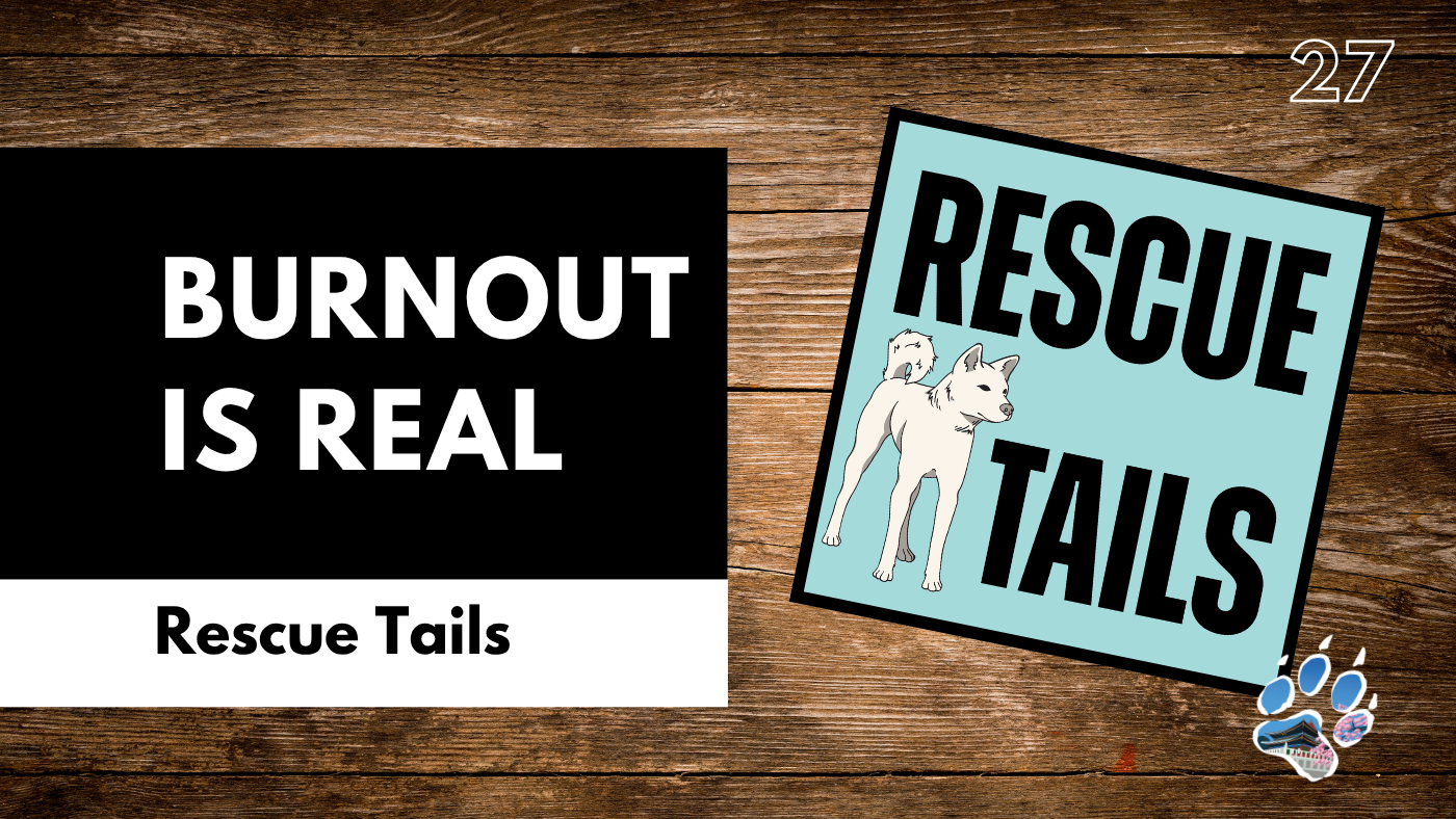 Rescue Burnout Is Real: The Emotional Cost of Saving Dogs | Rescue Tails Podcast